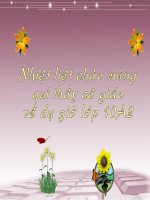 Bài 20-Tin học 10