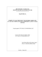 NGHIÊN CỨU ĐẶC ĐIỂM PHÁT THẢI HYĐROCARBON (HC) CỦA XE MÁY TRONG GIAI ĐOẠN KHỞI ĐỘNG LẠNH VÀ CHẠY ẤM MÁY