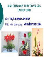 bài 14 thực hành cắm hoa