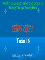 Tap đọc - Về quê ngoại