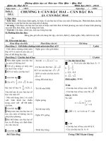 Giáo án Đại số 9 theo chuẩn KTKN