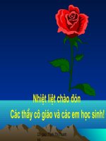 Truc va toa do tren truc -10 NC