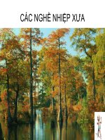 CÁC NGHỀ NGHIỆP XƯA