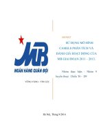 SỬ DỤNG MÔ HÌNH CAMELS PHÂN TÍCH VÀ ĐÁNH GIÁ HOẠT ĐỘNG CỦA MB GIAI ĐOẠN 2011 – 2013.