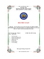 cơ cấu đầu tư và cơ cấu đầu tư hợp lí. phân      tích, khái quát, nêu rõ những ưu nhược điểm của cơ cấu đầu tư việt nam ở giai đoạn 2011-2013