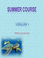 summer course 2