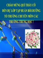 cong tac cua to truong chuyen mon