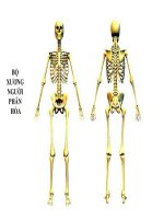 HÌNH ẢNH DẠY BÀI MỞ ĐẦU SH 8