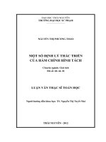 một số định lý thác triển của hàm chỉnh hình tách