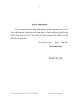 một số giải pháp chủ yếu nhằm nâng cao năng lực cạnh tranh của công ty cổ phần vật tư nông nghiệp thái nguyên