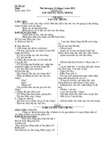 Giao an lop 4 tuan 22,23,24,24