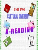 Unit 2 Reading12 (Chuan)