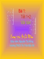 Tiết 1: Văn bản: Phong cách Hồ Chí Minh. Hay