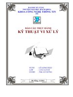 Báo cáo thực hành vi xử lý