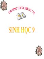 SÌNH 9 - TIẾT 29