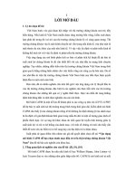 Đề tài vận dụng mô hình CAPM để lựa chọn danh mục đầu tư trên thị trường chứng khoán việt nam