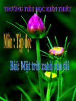 Tập đọc: Mặt trời xanh của tôi