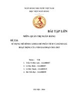SỬ DỤNG MÔ HÌNH CAMELS ĐỂ PHÂN TÍCH VÀ ĐÁNH GIÁ HOẠT ĐỘNG CỦA VIB GIAI ĐOẠN 20112013