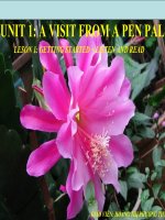 Unit 1- Listen and Read