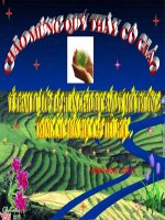 Tích hợp Bảo vệ môi trường ,Phần 1