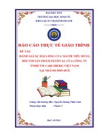 đánh giá sự hài lòng của người tiêu dùng đối với sản phẩm festival của công ty tnhh tm carlsberg việt nam tại thành phố huế