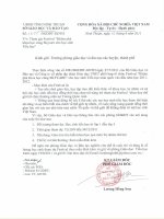 Tham gia Festival  Kham pha khoa hoc cung Skycare cho hoc sinh Tieu hoc