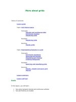 More about grids theme basics