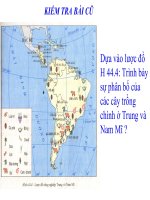 Kinh tế Trung và Nam Mỹ