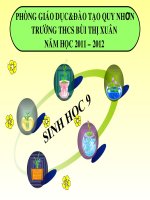 B2: Lai một cặp tính trạng