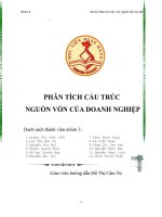 PHÂN TÍCH CẤU TRÚC    NGUỒN VỐN CỦA DOANH NGHIỆP