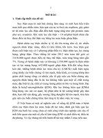 tóm tắt luận án  nghiên cứu nồng độ beta2 microglobulin máu ở bệnh nhân suy thận mạn tính lọc máu chu kỳ