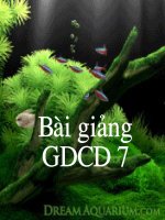 Bai 6-lop 7 Ton su trong đao