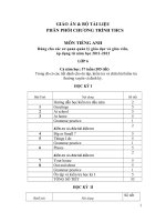 Giáo án tiếng anh 6 cả năm chuẩn  KTKN 2011