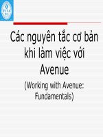 Các nguyên tắc cơ bản khi làm việc với phần mềm avenue