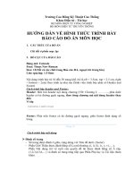 Hướng dẫn báo cáo đồ án môn học