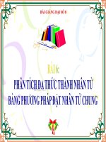 bài giảng đại số 8 chương 1 bài 6 phân tích đa thức thành nhân tử bằng phương pháp đặt nhân tử chung