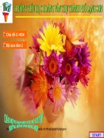 BỘ SƯU TẦM ẢNH ĐỘNG HOA 2