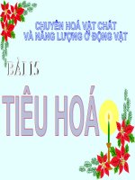 Tiêu hóa thức ăn - hội giảng - sinh học