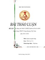 Áp dụng mô hình CAMELS phân tích tài chính Ngân hàng TMCP Công thương Việt Nam năm 20112013