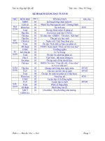 Tuần 01 - Lớp 5 (KNS-BVMT-NLHQ)