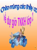 TNXH lớp 3 loài vật sống ở đâu