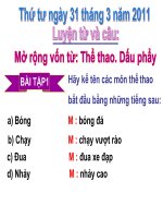 the thao dau phay