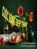 Cuộc sống đẹp thay .