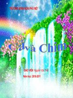 Bé kể chuyện cá và chim