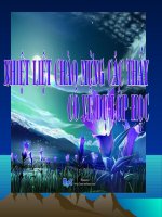 cau hinh elechtron nguyen tu