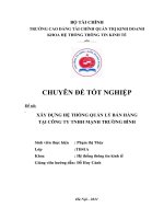 xây dựng hệ thống quản lý bán hàng tại công ty tnhh mạnh trường bình