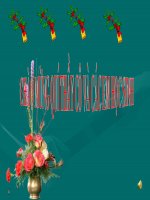 đất quý đấy yêu