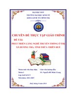 phát triển làng nghề truyền thống ở thị xã hương trà, tỉnh thừa thiên huế