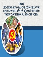 liên minh giai cấp trong cách mạng XHCN