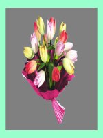 mẫu chữ viết hoa đẹp cần cho gv dạy tập viết